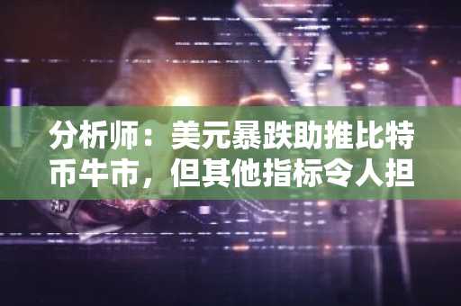 分析师：美元暴跌助推比特币牛市，但其他指标令人担忧