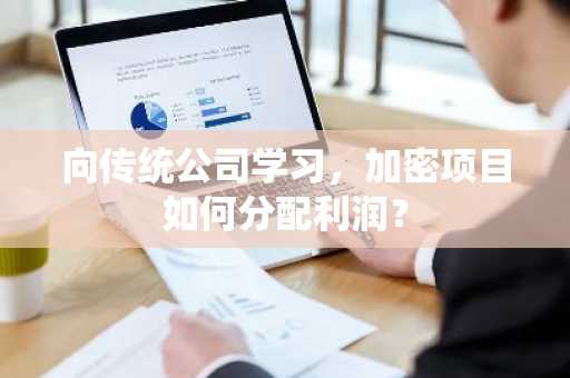 向传统公司学习，加密项目如何分配利润？