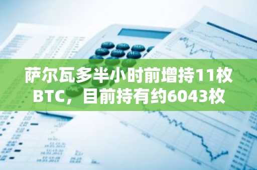 萨尔瓦多半小时前增持11枚BTC，目前持有约6043枚比特币