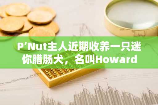 P’Nut主人近期收养一只迷你腊肠犬，名叫Howard