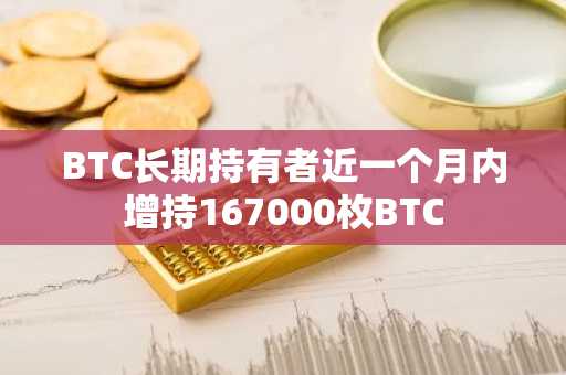 BTC长期持有者近一个月内增持167000枚BTC
