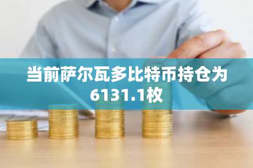 当前萨尔瓦多比特币持仓为6131.1枚