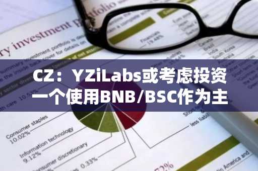 CZ：YZiLabs或考虑投资一个使用BNB/BSC作为主要支付选项来开发良好MVP的项目