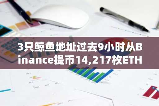 3只鲸鱼地址过去9小时从Binance提币14,217枚ETH，或正通过Aave做多ETH