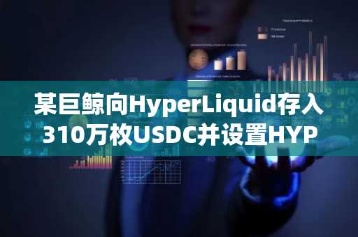 某巨鲸向HyperLiquid存入310万枚USDC并设置HYPE购入订单