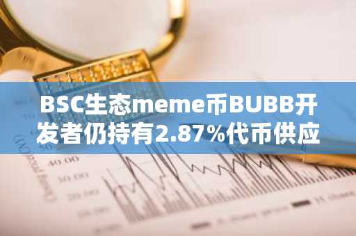 BSC生态meme币BUBB开发者仍持有2.87%代币供应，浮动回报率达3028倍
