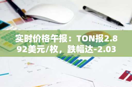实时价格午报：TON报2.892美元/枚，跌幅达-2.03%