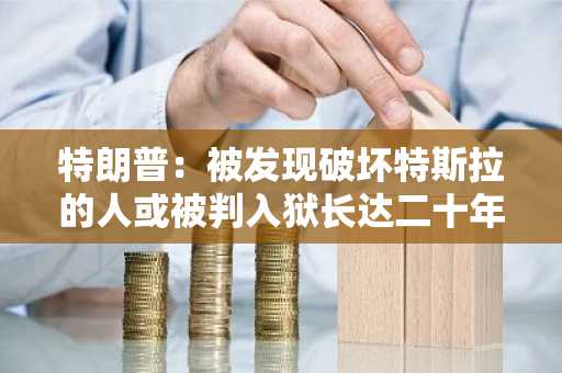 特朗普：被发现破坏特斯拉的人或被判入狱长达二十年