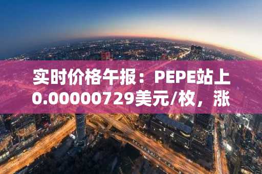 实时价格午报：PEPE站上0.00000729美元/枚，涨幅达3.11%