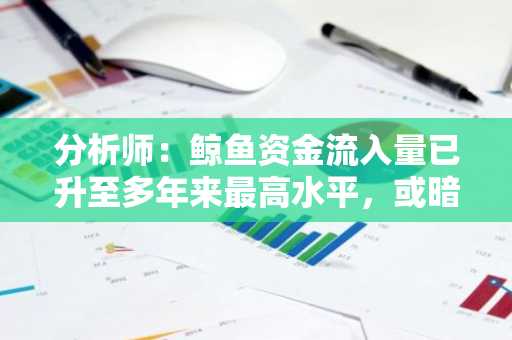 分析师：鲸鱼资金流入量已升至多年来最高水平，或暗示价格即将大幅波动