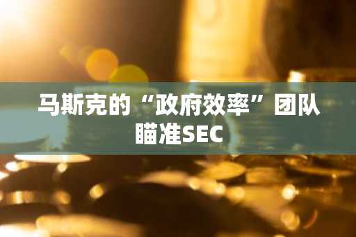 马斯克的“政府效率”团队瞄准SEC