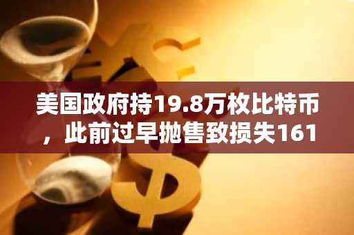 美国政府持19.8万枚比特币，此前过早抛售致损失161亿美元