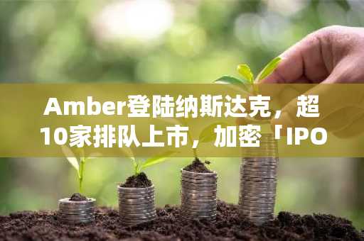 Amber登陆纳斯达克，超10家排队上市，加密「IPO」元年开启