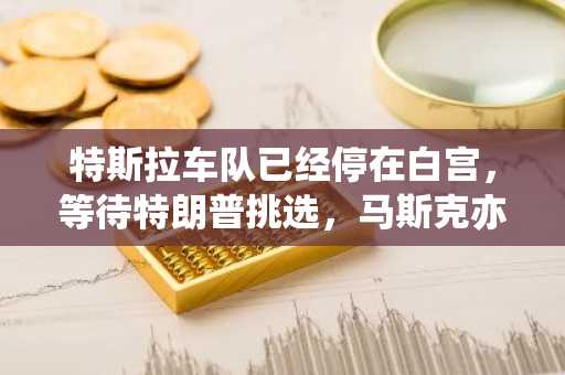 特斯拉车队已经停在白宫，等待特朗普挑选，马斯克亦在现场