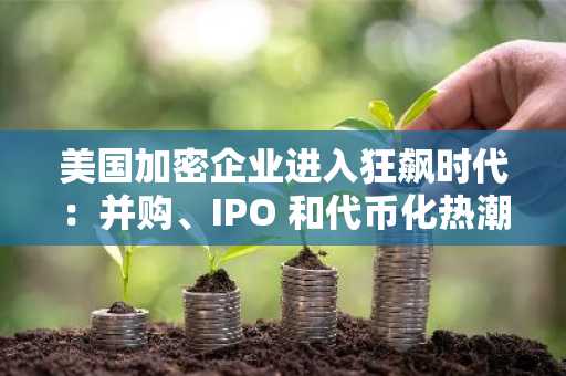 美国加密企业进入狂飙时代：并购、IPO 和代币化热潮