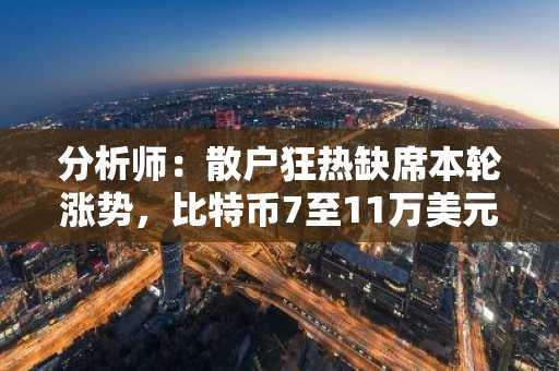 分析师：散户狂热缺席本轮涨势，比特币7至11万美元阶段缺失典型特征
