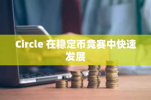 Circle 在稳定币竞赛中快速发展