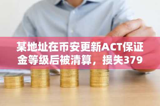 某地址在币安更新ACT保证金等级后被清算，损失379万美元