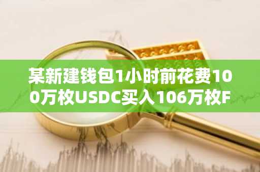 某新建钱包1小时前花费100万枚USDC买入106万枚Fartcoin