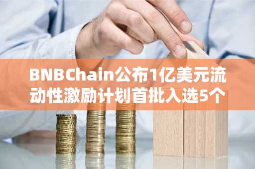 BNBChain公布1亿美元流动性激励计划首批入选5个项目，含Mubarak、TUT等