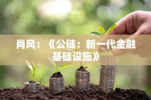 肖风：《公链：新一代金融基础设施》
