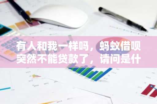 有人和我一样吗，蚂蚁借呗突然不能贷款了，请问是什么原因？