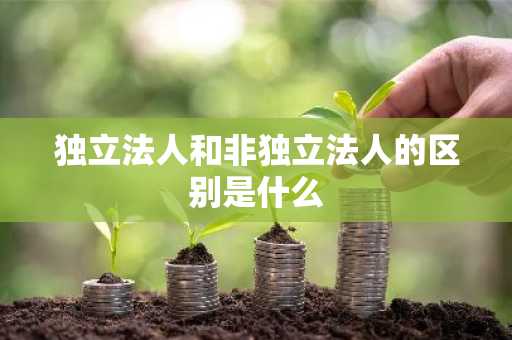 独立法人和非独立法人的区别是什么