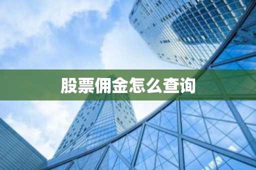 股票佣金怎么查询