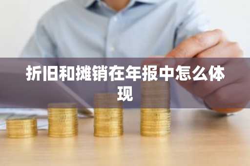 折旧和摊销在年报中怎么体现