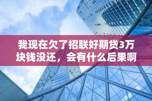 我现在欠了招联好期贷3万块钱没还，会有什么后果啊？