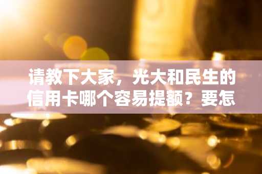 请教下大家，光大和民生的信用卡哪个容易提额？要怎么才能提额？