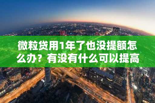 微粒贷用1年了也没提额怎么办？有没有什么可以提高额度的办法啊？