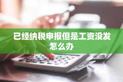 已经纳税申报但是工资没发怎么办
