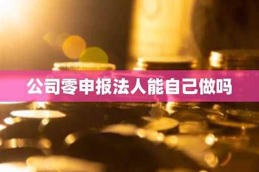 公司零申报法人能自己做吗