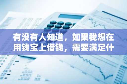 有没有人知道，如果我想在用钱宝上借钱，需要满足什么条件才能申请呢？