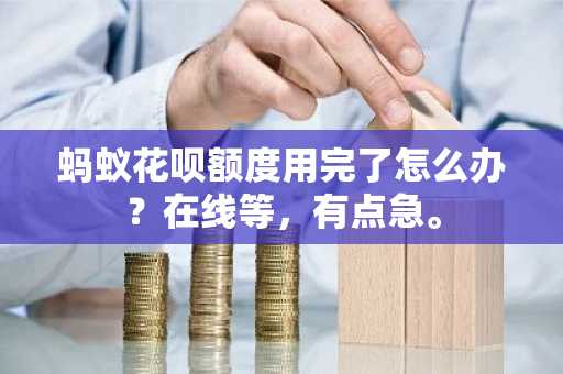 蚂蚁花呗额度用完了怎么办？在线等，有点急。