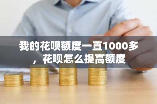 我的花呗额度一直1000多，花呗怎么提高额度