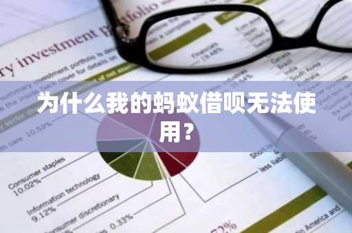 为什么我的蚂蚁借呗无法使用？