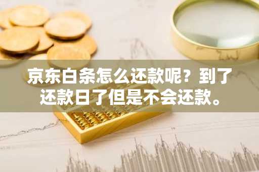 京东白条怎么还款呢？到了还款日了但是不会还款。