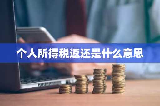 个人所得税返还是什么意思