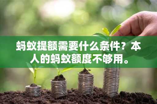 蚂蚁提额需要什么条件？本人的蚂蚁额度不够用。