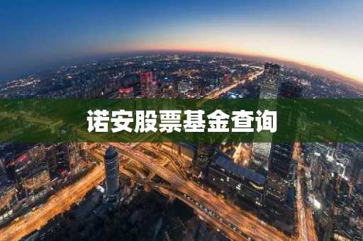 诺安股票基金查询