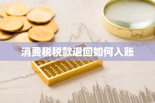 消费税税款退回如何入账