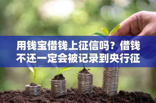 用钱宝借钱上征信吗？借钱不还一定会被记录到央行征信上吗？