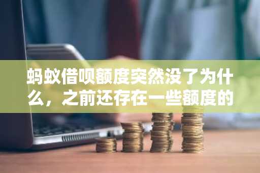 蚂蚁借呗额度突然没了为什么，之前还存在一些额度的