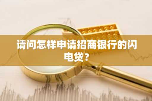 请问怎样申请招商银行的闪电贷？
