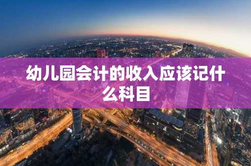 幼儿园会计的收入应该记什么科目
