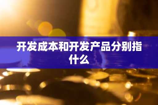 开发成本和开发产品分别指什么