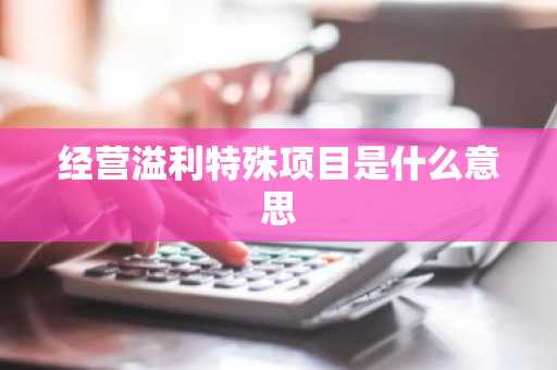 经营溢利特殊项目是什么意思
