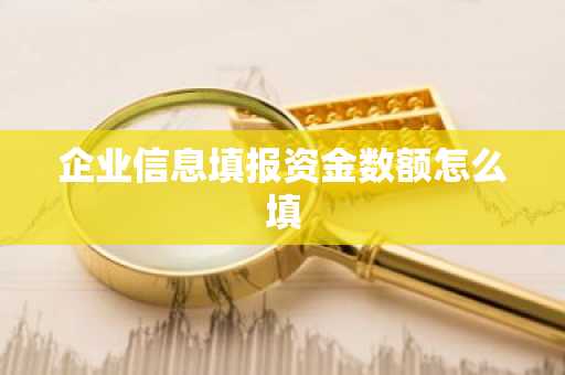 企业信息填报资金数额怎么填